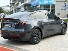 Tesla Model Y Edition - фото 8