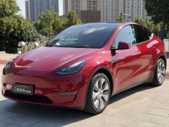 Tesla Model Y Standard Range Edition - фото 1