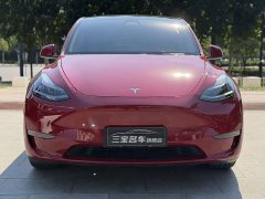 Tesla Model Y Standard Range Edition - фото 2
