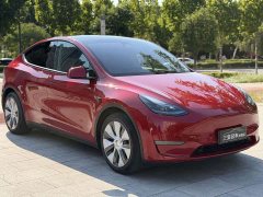 Tesla Model Y Standard Range Edition - фото 3
