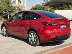 Tesla Model Y Standard Range Edition - фото 6
