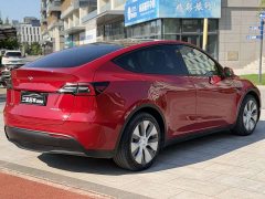 Tesla Model Y Standard Range Edition - фото 7