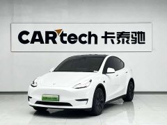 Tesla Model Y Edition - фото 1