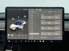 Tesla Model Y Edition - фото 6