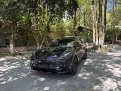 Tesla Model Y Edition - фото 1