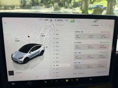 Tesla Model Y Edition - фото 10
