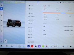 Zeekr 8X Max Edition 55kWh - фото 18