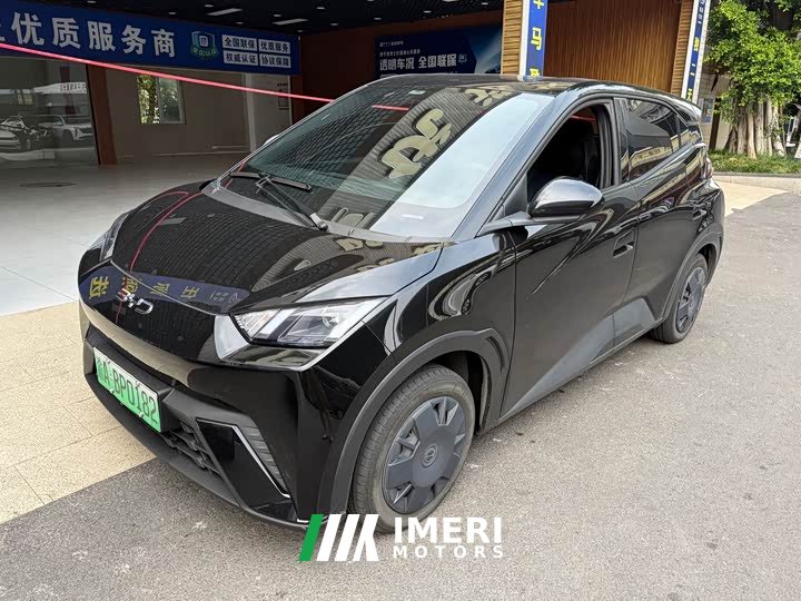 BYD Edition 305km Edition - автомобиль из Китая