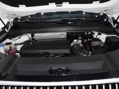 Chery 9 2.0T 2WD Edition 5 - фото 19