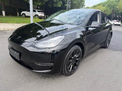 Tesla Model Y Standard Range Edition - фото 1