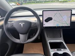Tesla Model Y Standard Range Edition - фото 14