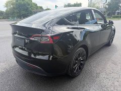 Tesla Model Y Standard Range Edition - фото 7