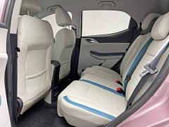 BYD Pro 401KMLuxury Version - фото 15