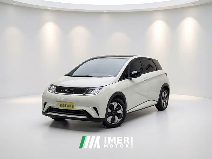 BYD Edition 420km Fashion Edition - автомобиль из Китая