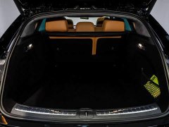 Xpeng S9T EREV UltraLong Range Edition (192) - фото 6