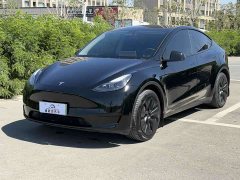 Tesla Model Y Edition - фото 1