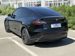 Tesla Model Y Edition - фото 10