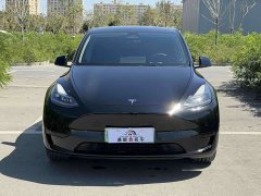 Tesla Model Y Edition - фото 2