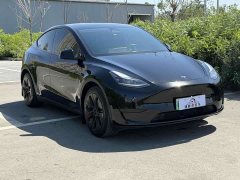 Tesla Model Y Edition - фото 3