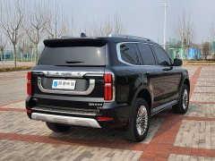 Tank 500 3.0T Business Edition Version 5 - фото 15