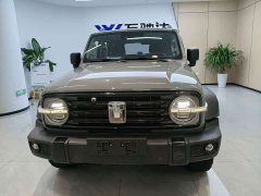 Tank 300 Off-Road Edition 2.0T - фото 2