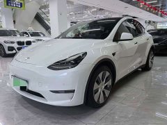 Tesla Model Y Standard Range Edition - фото 1