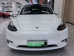 Tesla Model Y Standard Range Edition - фото 2