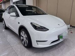 Tesla Model Y Standard Range Edition - фото 6