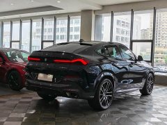 BMW X6 xDrive40i Deluxe Version M - фото 12