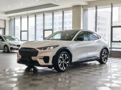 Ford Luxury Edition(Long Range) - фото 1