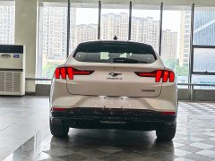 Ford Luxury Edition(Long Range) - фото 13