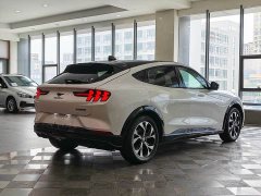 Ford Luxury Edition(Long Range) - фото 14