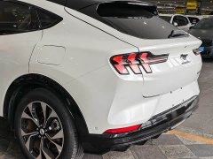 Ford Luxury Edition(Long Range) - фото 15