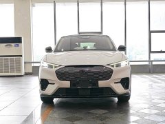 Ford Luxury Edition(Long Range) - фото 2