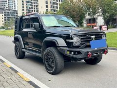 Tank 300 Off-Road Edition 2.0T - фото 3
