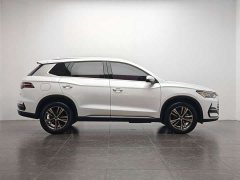 BYD Pro 1.5T Edition Version - фото 4