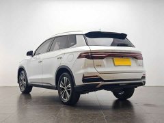 BYD Pro 1.5T Edition Version - фото 7