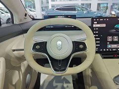 R7 EV Max (192) - фото 10