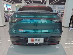 R7 EV Max (192) - фото 4