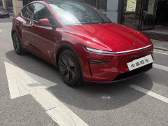 Tesla Model Y Long Range Edition - фото 3