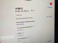 Tesla Model Y Long Range Edition - фото 9