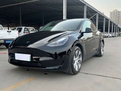Tesla Model Y Standard Range Edition - фото 1
