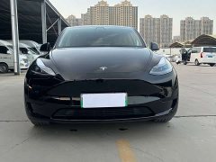 Tesla Model Y Standard Range Edition - фото 2