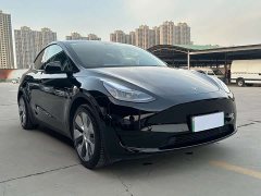 Tesla Model Y Standard Range Edition - фото 3