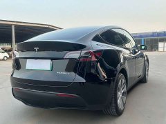 Tesla Model Y Standard Range Edition - фото 7