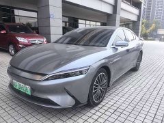 BYD EV Standard Range EditionLuxury Version - фото 1