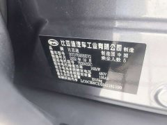 BYD EV Standard Range EditionLuxury Version - фото 13