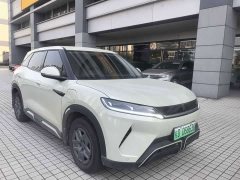 BYD UP 401KM Edition - фото 3