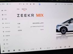 Zeekr MIX Smart Drive Edition - фото 9