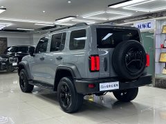 Tank 300 Off-Road Version 2.0T Conqueror - фото 6